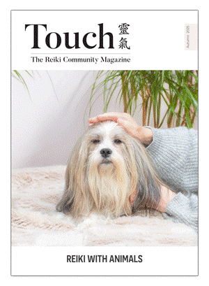 Autumn 2025 – Reiki for Animals